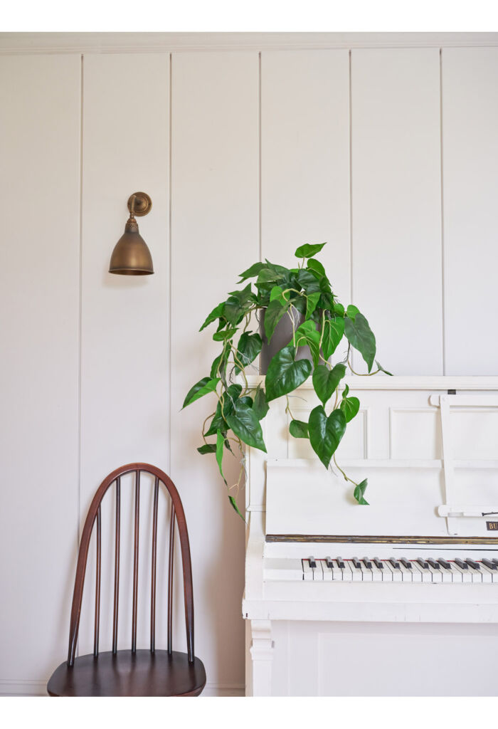 A houseplant draped over a white piano