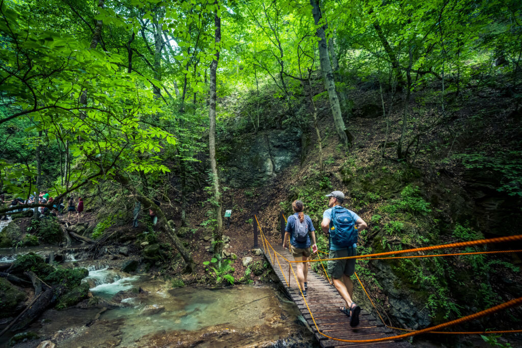 Hiking in the Dilijan National Park