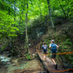 Hiking in the Dilijan National Park