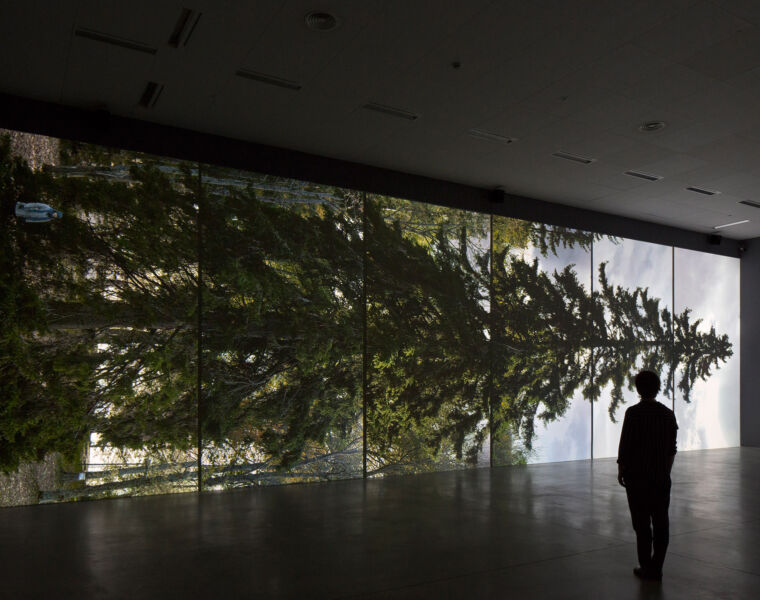 A visitor admiring the six screen video display of a tree