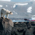 A polar with one of the ships in the background