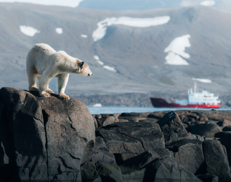 A polar with one of the ships in the background